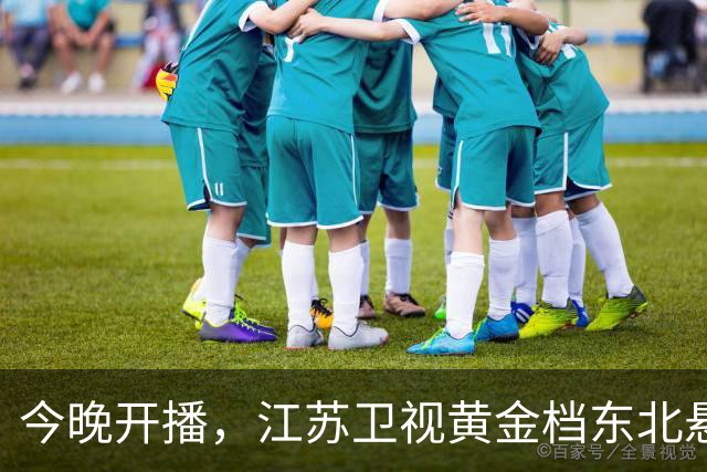 今晚开播，江苏卫视黄金档东北悬疑大剧来袭！阵容强大，值得一看