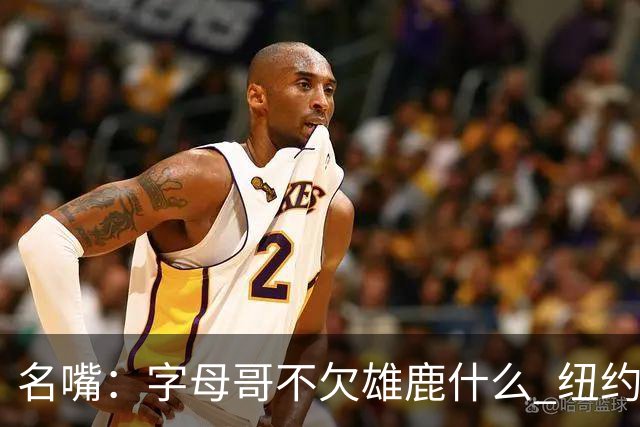 名嘴：字母哥不欠雄鹿什么 纽约现在渴望冠军