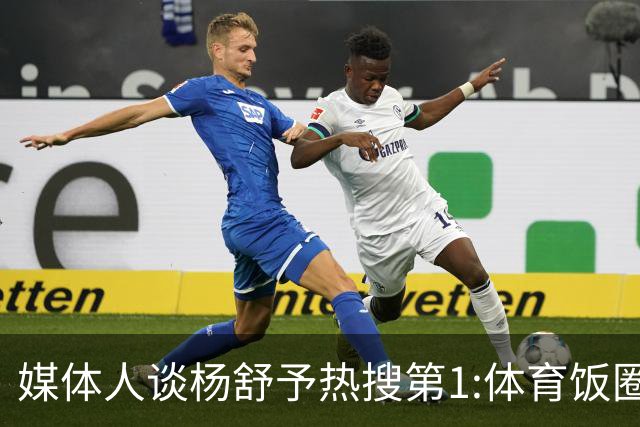 媒体人谈杨舒予热搜第1:体育饭圈化成行业现象