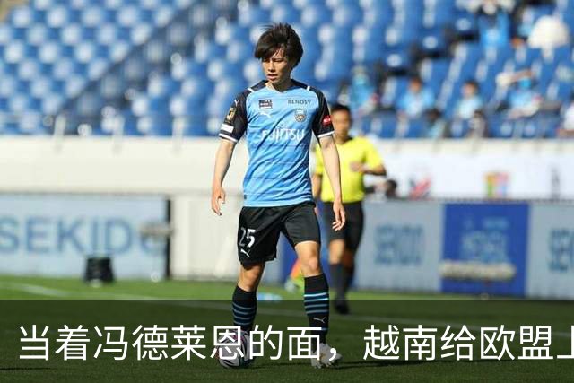 当着冯德莱恩的面，越南给欧盟上了一课：这就是“中国力量”