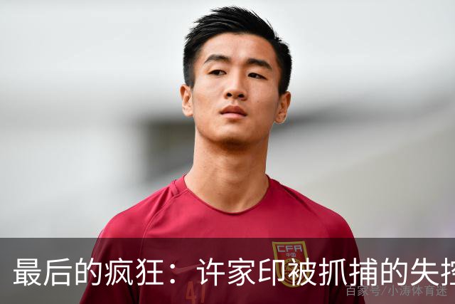 最后的疯狂：许家印被抓捕的失控三秒钟，简直是惊心动魄