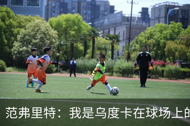 范弗里特：我是乌度卡在球场上的一个翻译 我当老好人他当坏人