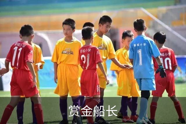 关于赏金船长