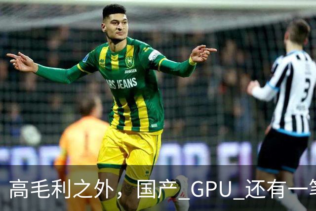 高毛利之外，国产 GPU 还有一笔 “软件账”